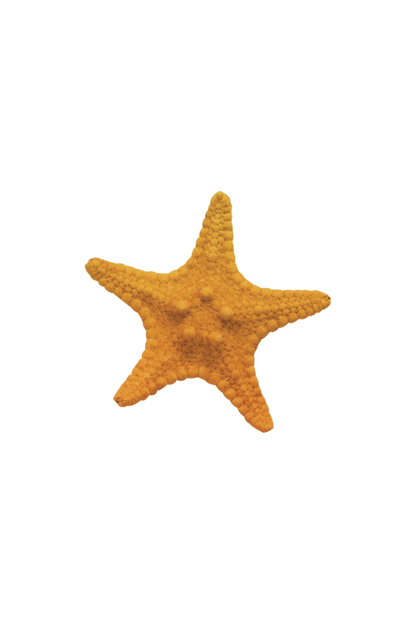 starfish classic tee