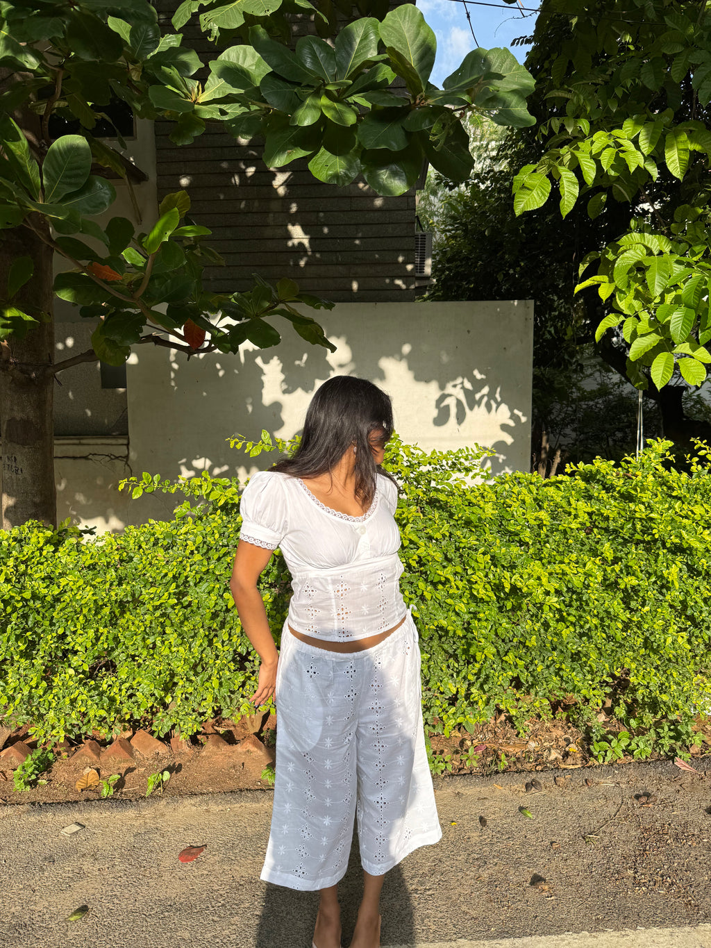 The Daisy Set